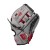 Wilson A2000 Superskin Tim Anderson GM 11.5 inch WBW101634115