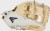 Easton 11.5" Morgan Stuart Elite Fastpitch Softball Glove