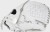 Rękawica softballowa Easton Professional Collection 12" Infield Fastpitch