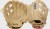 Rawlings Sure Catch 10.5 inch Kris Bryant Signature T-ball Baseball Glove