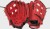Rękawica baseballowa dla dzieci Rawlings Sure Catch Carlos Correa 10.5" Youth