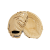 WBW102097125 Rękawica baseballowa pierwszobazowa Wilson A2000 1679 12.5 inch First Base Beżowa (Classics Series)