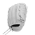 WBW102594_0_A1000_Fastpitch_V125_IF_125_White.png