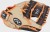 SC100JH Rawlings Sure Catch 10 in Jackson Holliday Youth Baseball Glove