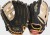 SC110FTJ Rawlings Sure Catch 11 in Fernando Tatris Jr. Youth Baseball Glove