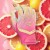 GH26FPBG-PINKLEMON-PKYW-6.jpg