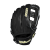 WBW102077_0_A2000_DW5_GD_SERIES_12_BLACK.png