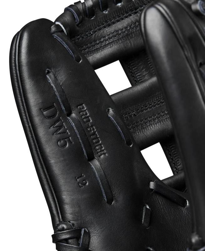 WBW102077_6_A2000_DW5_GD_SERIES_12_BLACK.png