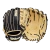 WBW10411612 Wilson A2000 DW5 12 inch Black/Blonde Utility Baseball Glove(Classics Series)