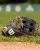 WBW104121125 Wilson A2000 1750 12.5 inch Black Outfield Baseball Glove (Classics Series)