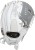 RLA120-31WSS Rawlings Liberty Advanced 12" Pitcher's Fastpitch Softball Glove