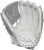 RLA120-31WSS Rawlings Liberty Advanced 12" Pitcher's Fastpitch Softball Glove