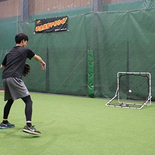 Fielding Training Net (Ground Ball Defense)