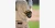 Evoshield PRO-SRZ™ 2.0 Batters's Elbow Guard