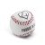 Grizzly G310 Fabric Cover 9.0 Baseballs