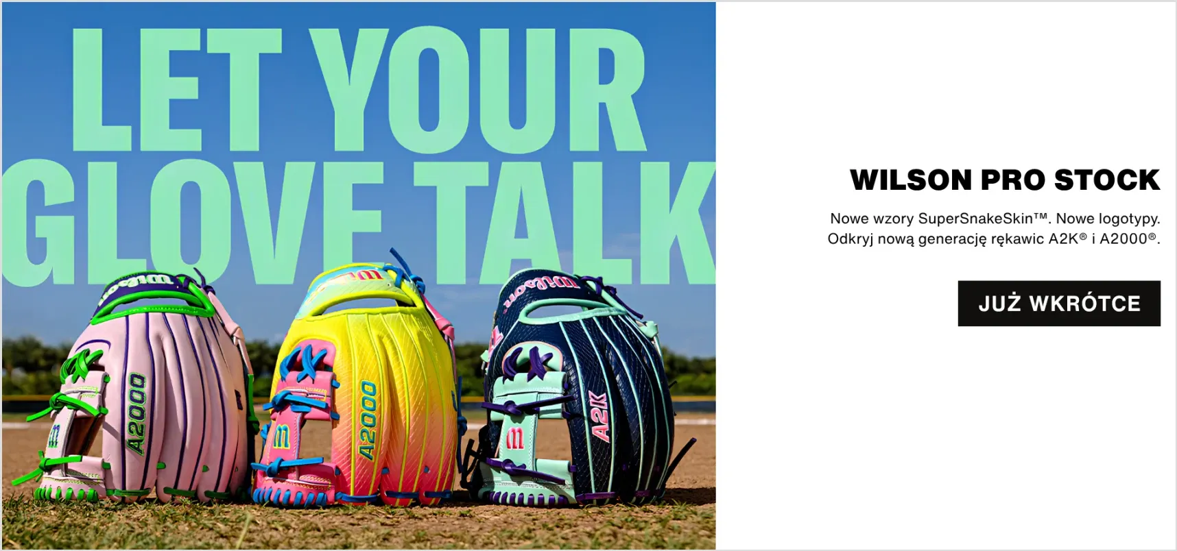 Wilson - Let your Glove Talk
