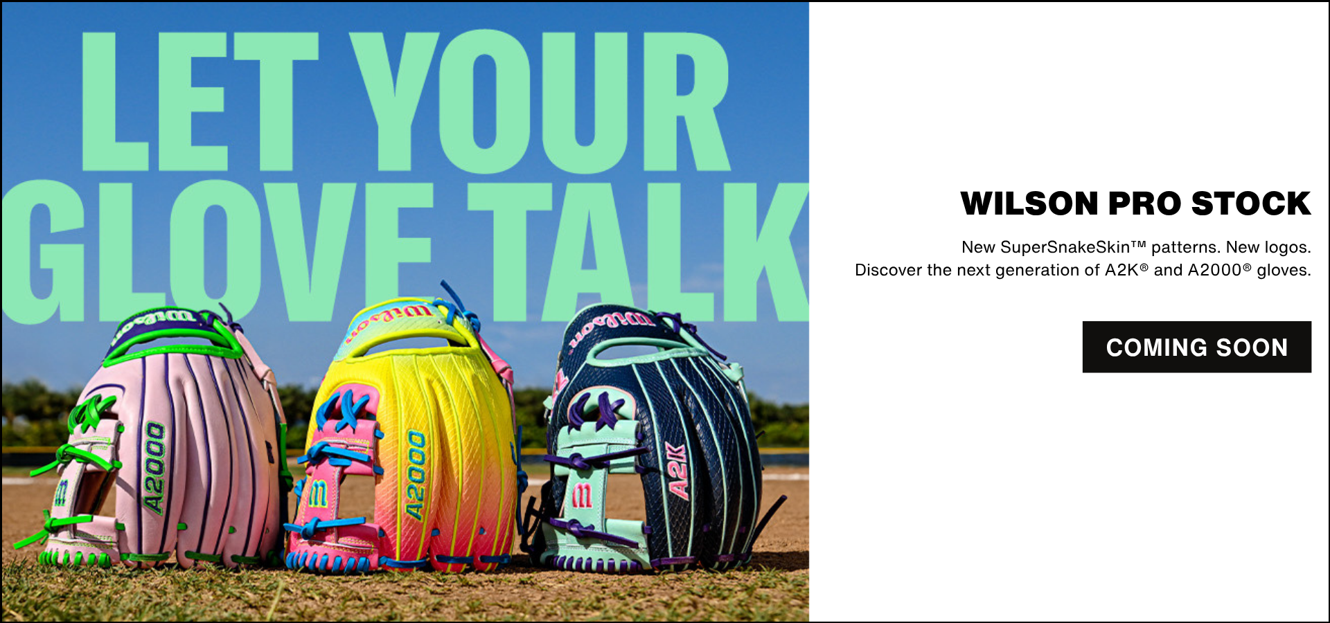 Wilson - Let your Glove Talk